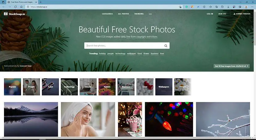 Stocksnap - Homepage - best websites to download free stock images for presentations